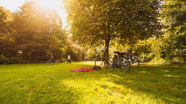 Amsterdam Vondel Park