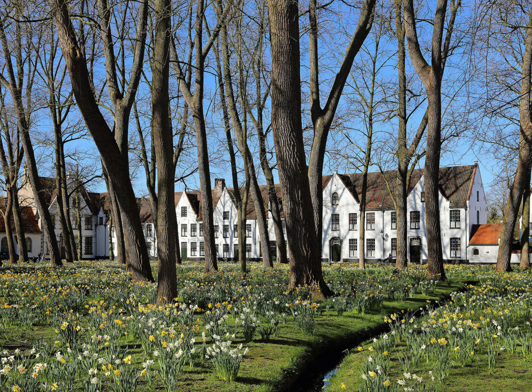 Begijnhof Gardens, Amsterdam