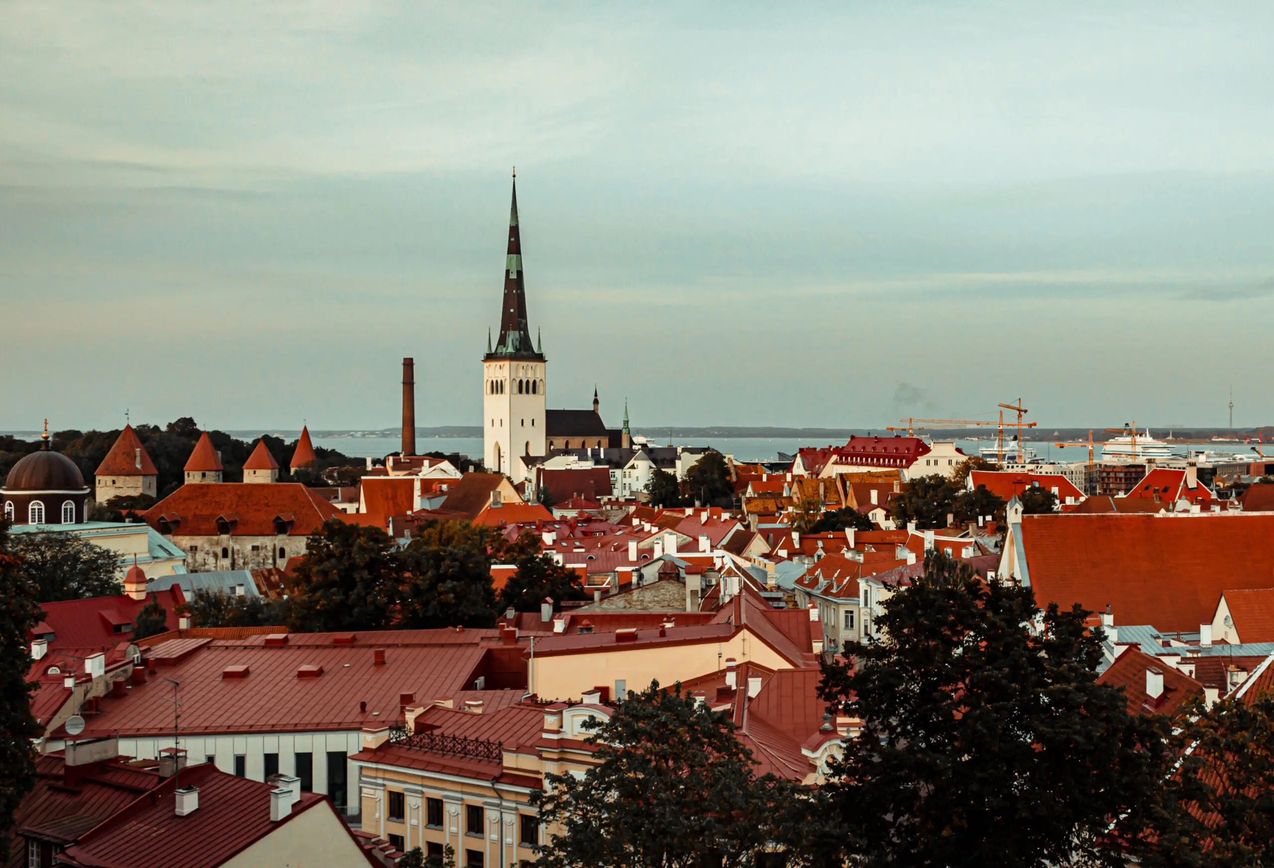 fætter ru royalty Top 10 Things to Do in Tallinn, Estonia