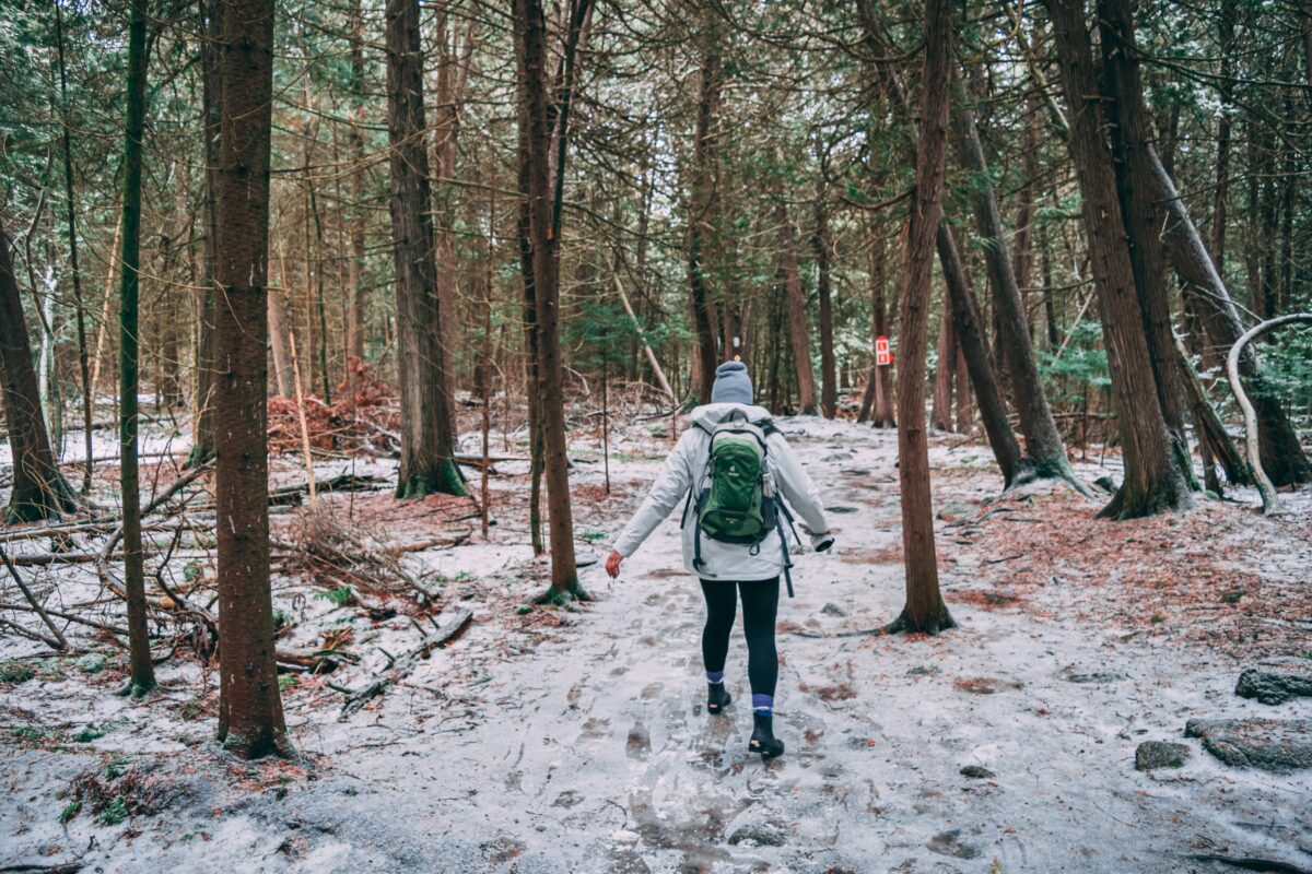 Winter Hiker