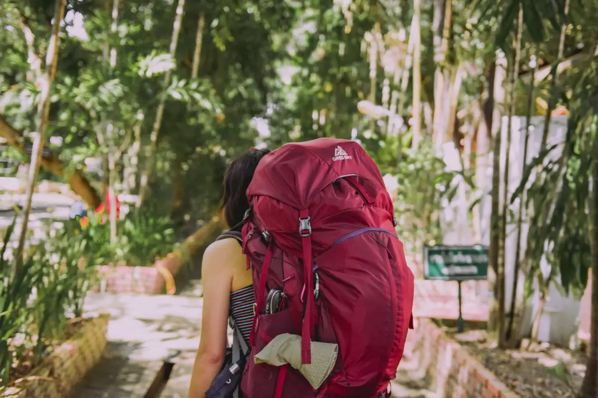 Backpack in jungle
