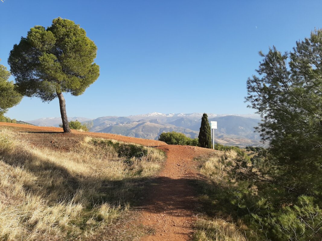 Granada is surrounded by stunning countryside.