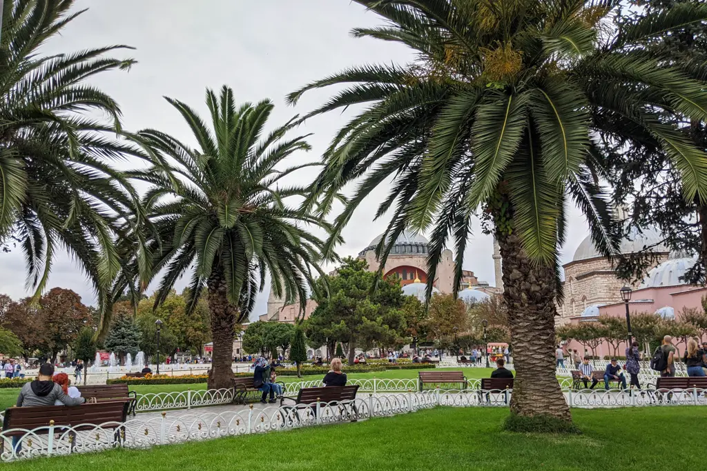 Hagia Sophia Blue Mosque square