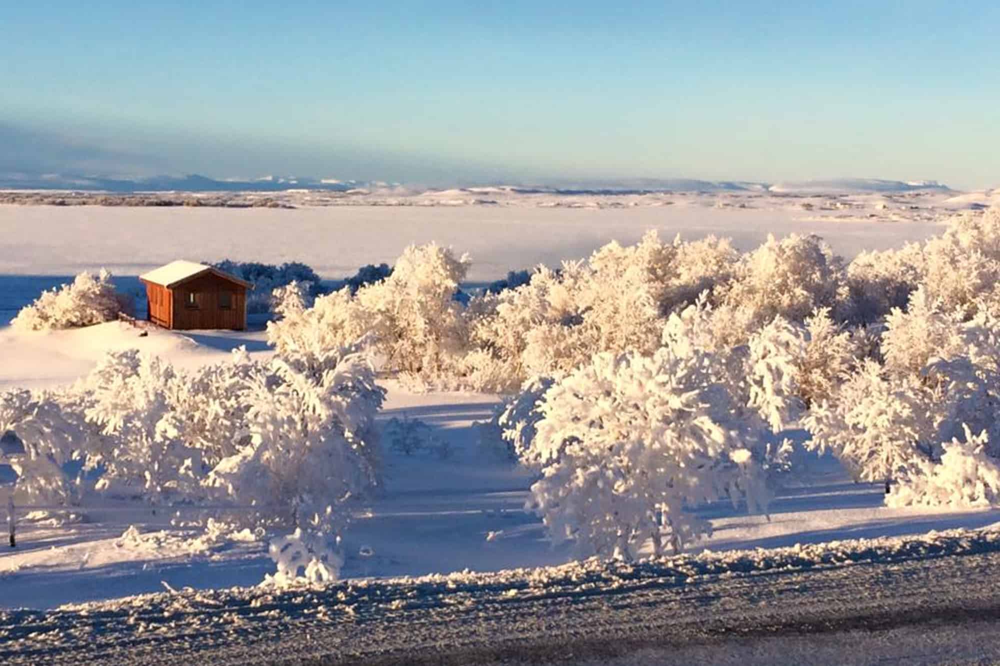 Myvatn snow