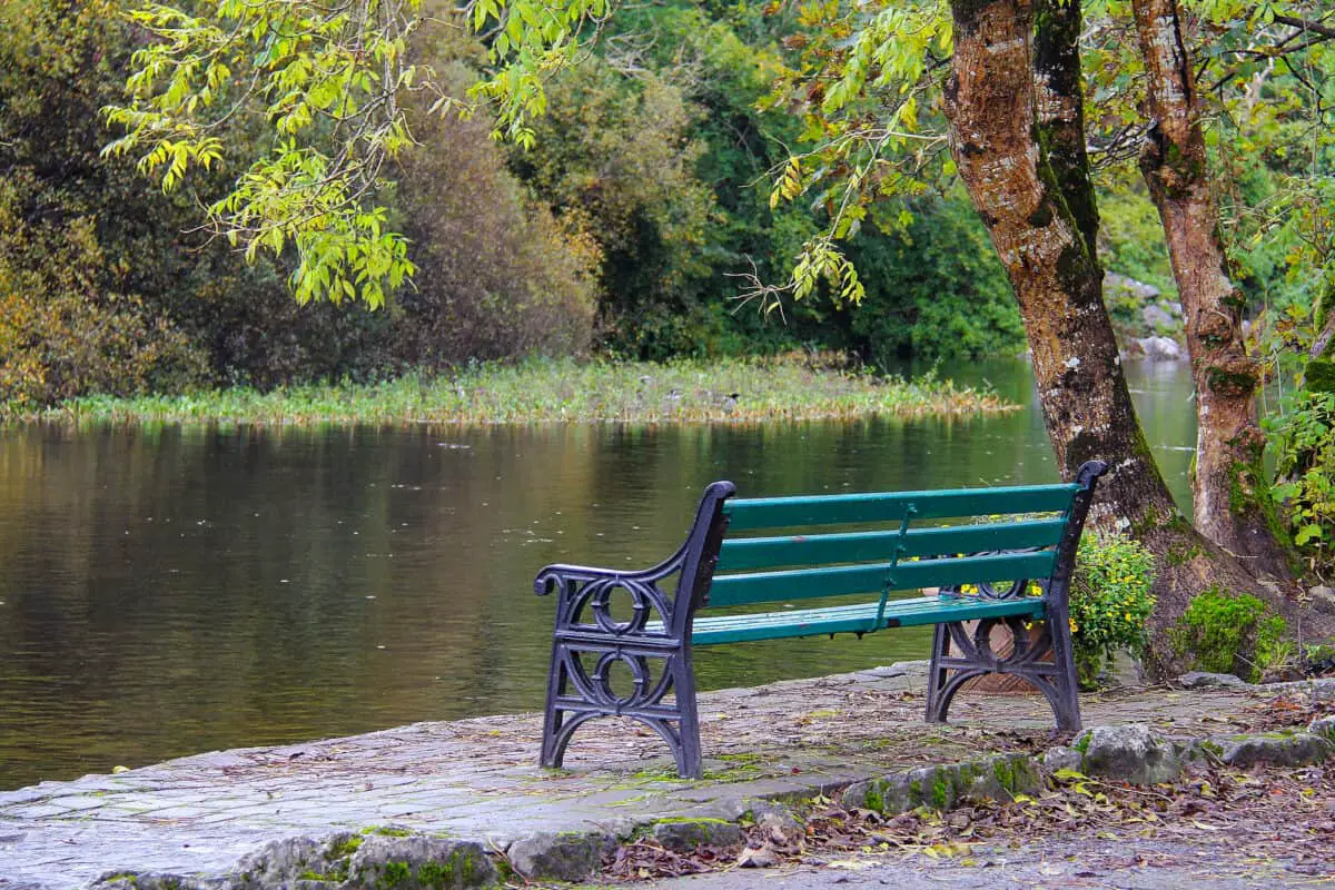 Galway Bench