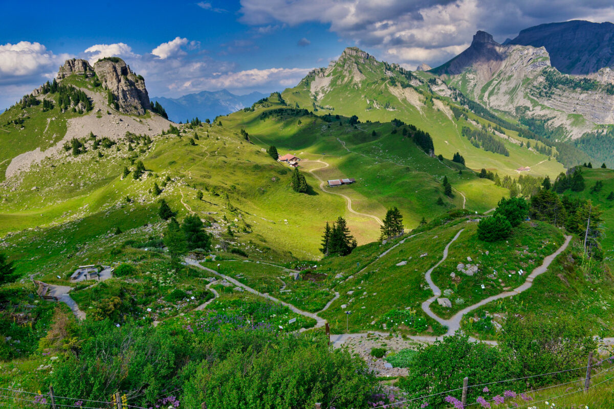 Switzerland alps