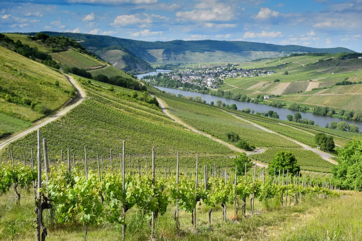 Mosel wine region