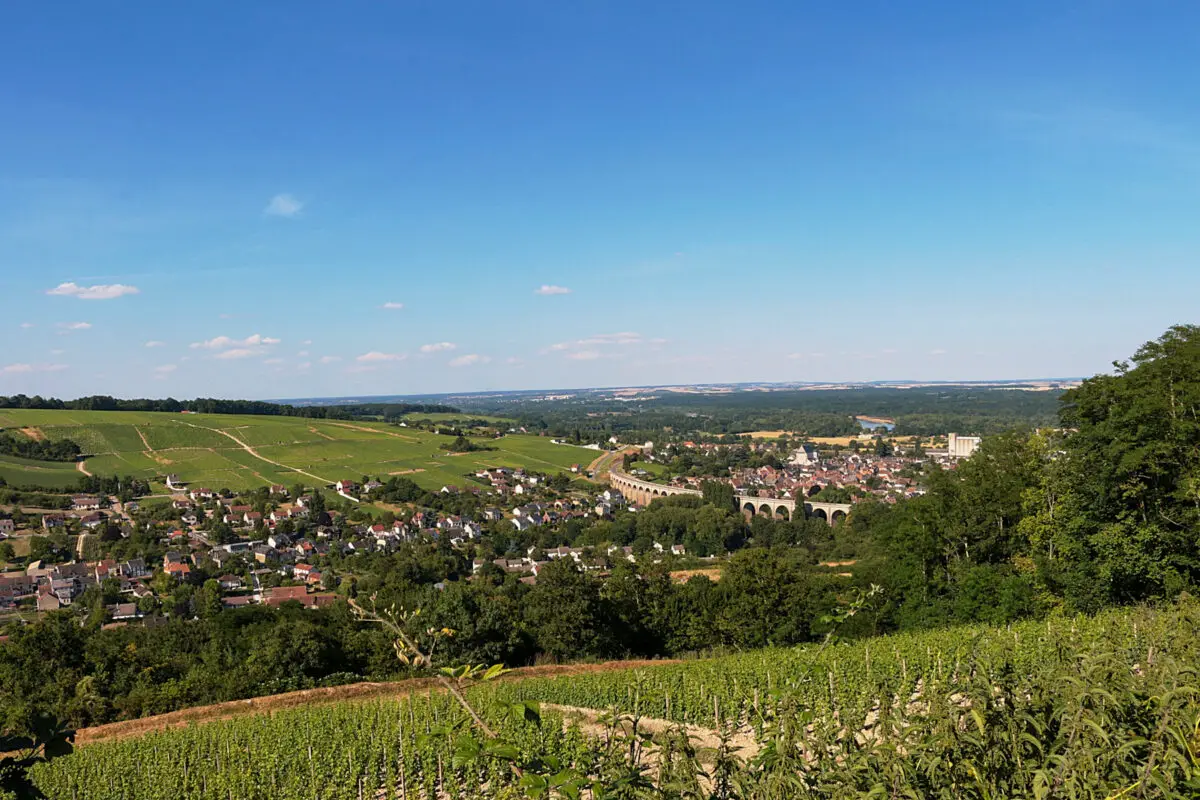 Sancerre vinyard Loire valley