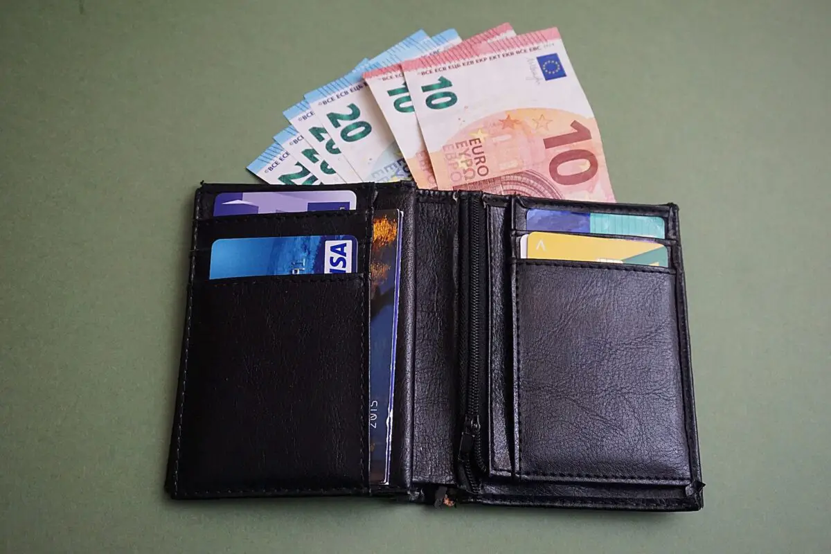 Wallet with Euros and Travel Cards for Europe