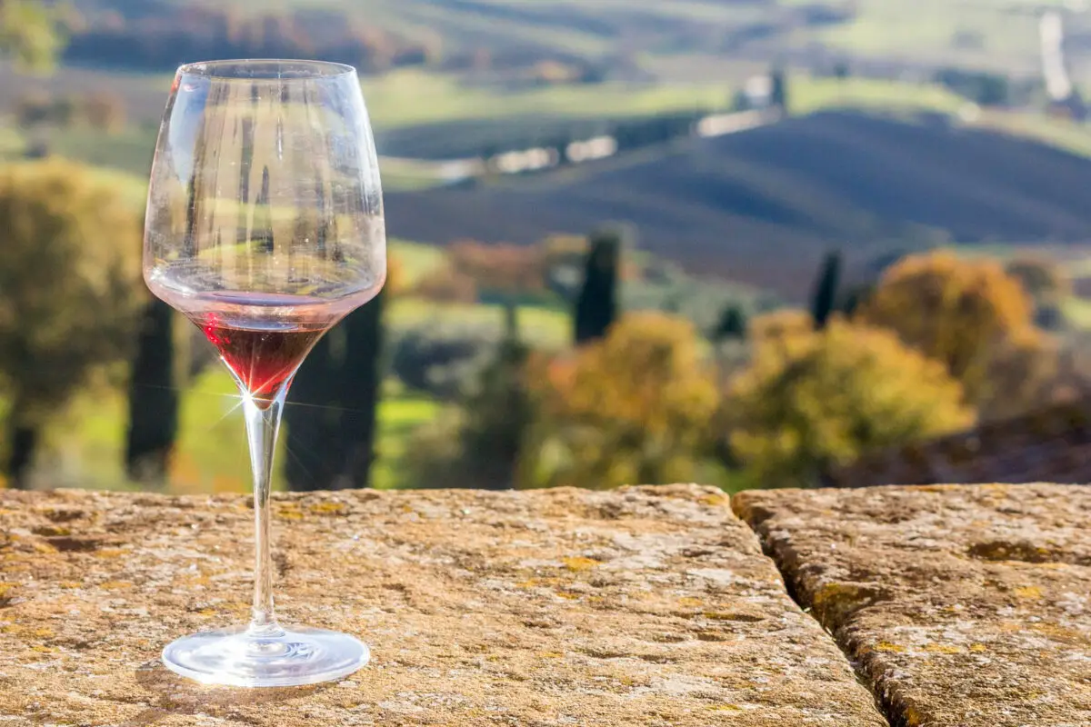 Wine at European vineyard